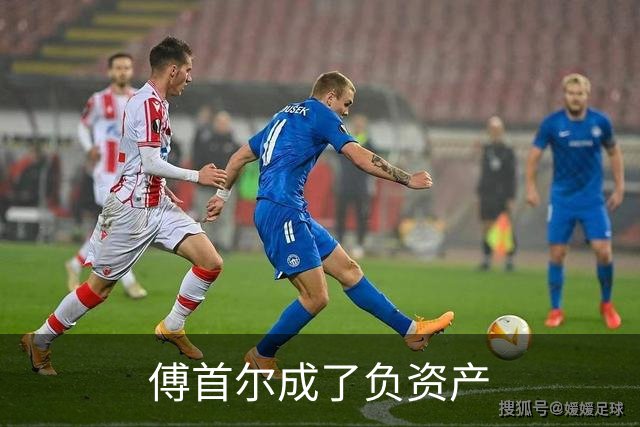 傅首尔成了负资产