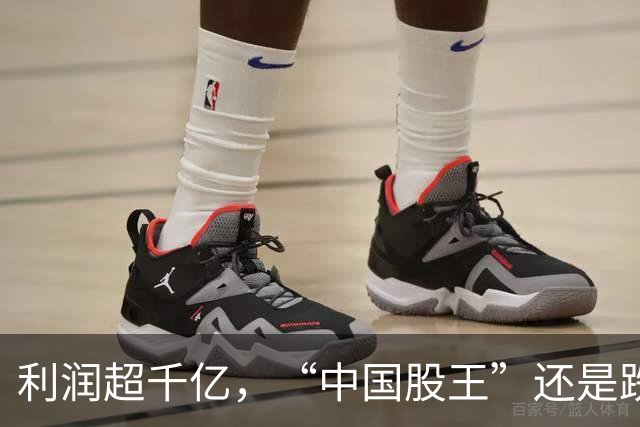 利润超千亿，“中国股王”还是跌疼了股民