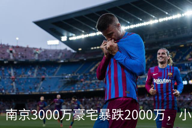 南京3000万豪宅暴跌2000万，小区出入口开在隧道里；业主：开发商承诺隧道为业主私享，中秋深夜却改为市政公共道路
