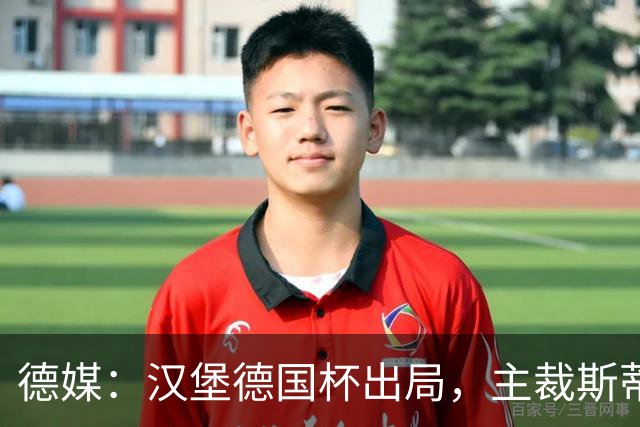 德媒：汉堡德国杯出局，主裁斯蒂勒承认漏判点球