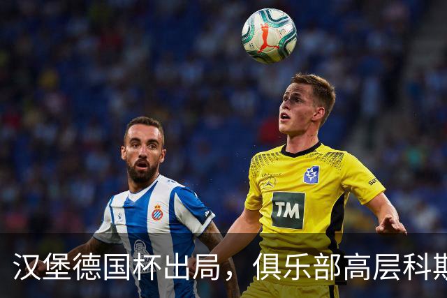 汉堡德国杯出局，俱乐部高层科斯塔：我们被漏判点球