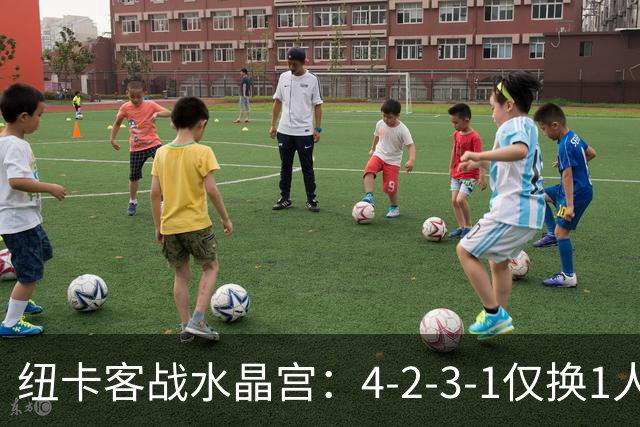 纽卡客战水晶宫：4-2-3-1仅换1人，迈利任右后卫
