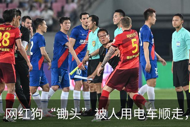 网红狗“锄头”被人用电车顺走，并以180元转卖遭宰杀，最新进展：双方已和解，犬主收到30万元和解费，计划全部捐出