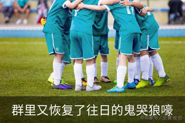 群里又恢复了往日的鬼哭狼嚎