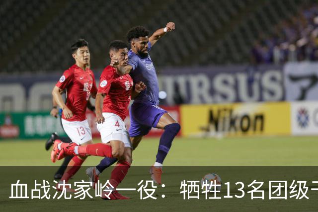 血战沈家岭一役：牺牲13名团级干部，8700余名战士倒在新中国建立前夜