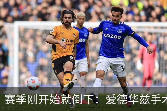 赛季刚开始就倒下：爱德华兹手术，雷霆两将同日重伤
