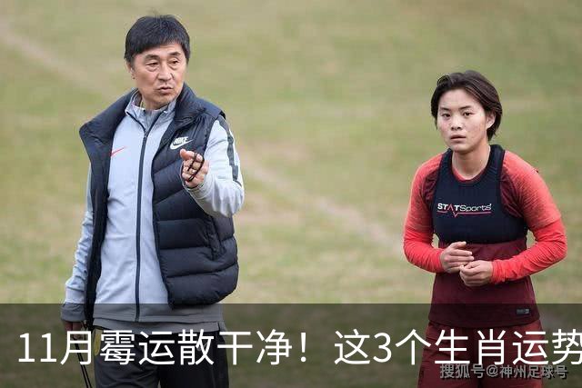 11月霉运散干净！这3个生肖运势提升一大截，机会挨个上门